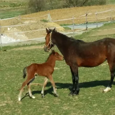 Artemis Farmapartment Bad Blumau