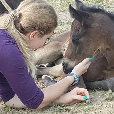 Artemis Farmapartment باد بلوماو